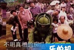 朝阳吃瓜群众什么意思